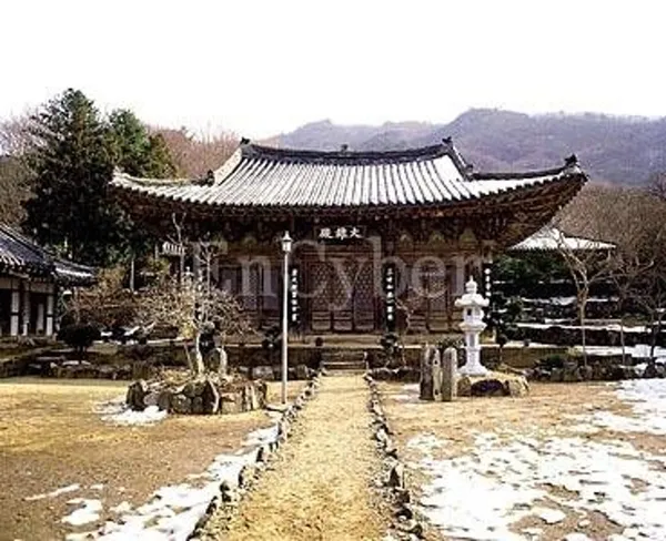 불갑사 사진 3