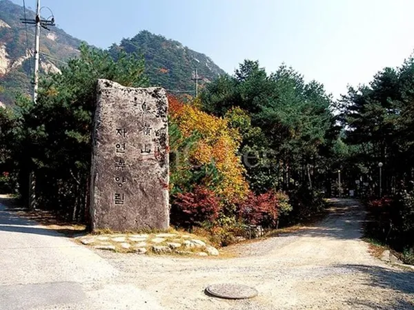 조령산 자연휴양림 사진 2