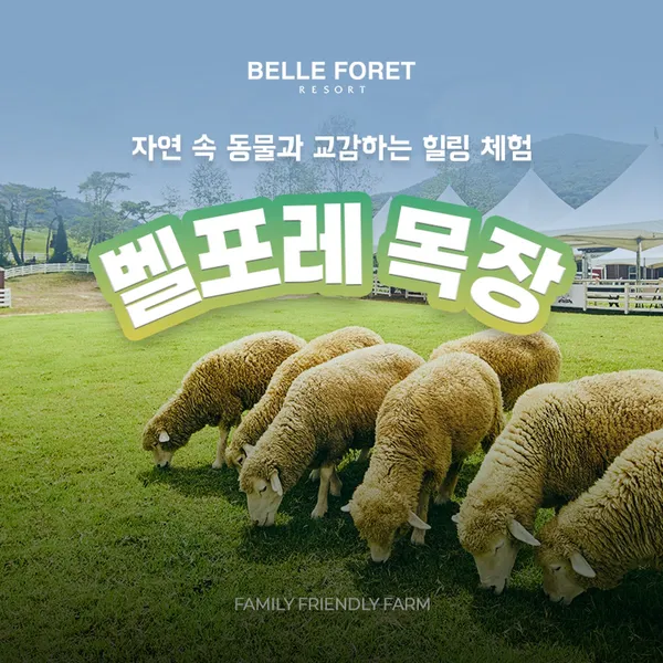 벨포레목장 사진 5
