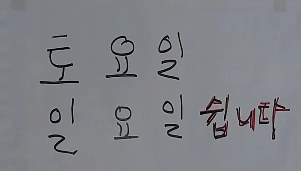 코리아나돈가스전문점 사진 2
