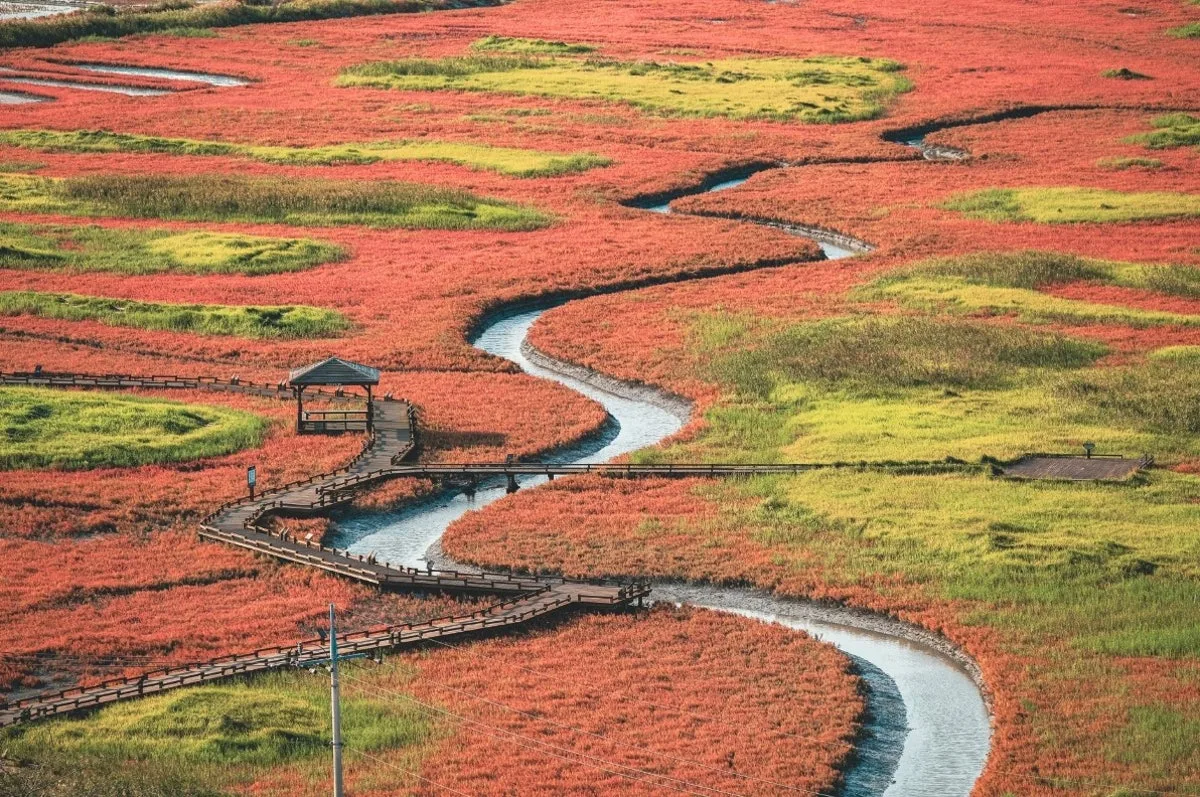 Taepyeong Salt Farm, main photo