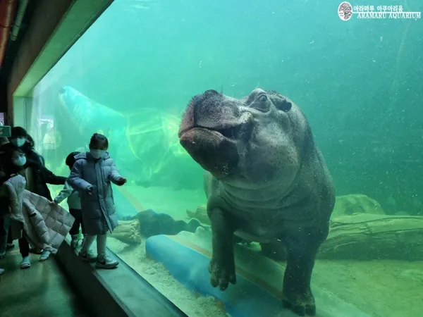 Aramaru Aquarium, photo 3