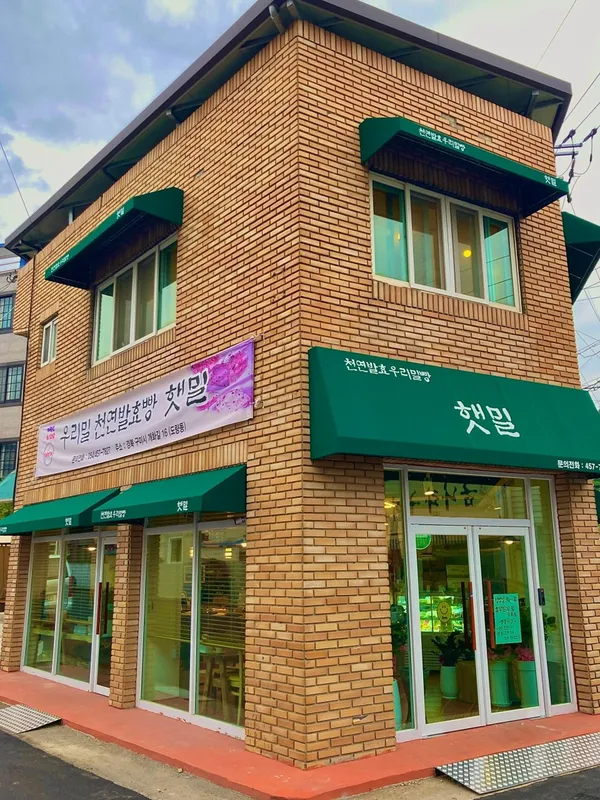햇밀