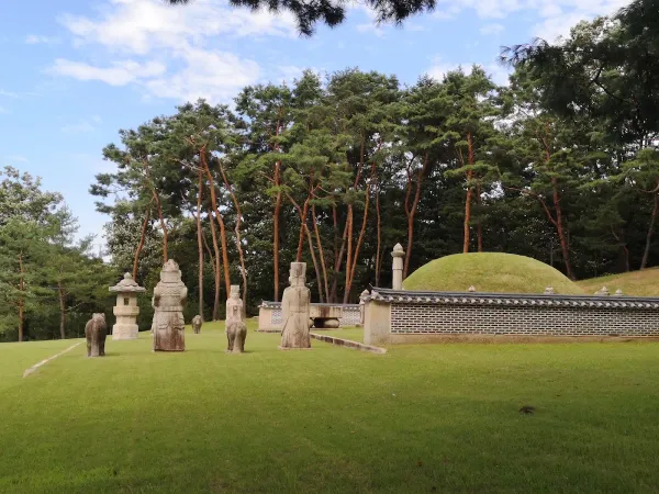헌인릉 생태경관보전지역(오리나무림), photo 2