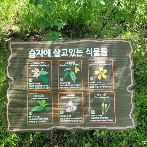 헌인릉 생태경관보전지역(오리나무림), photo 5