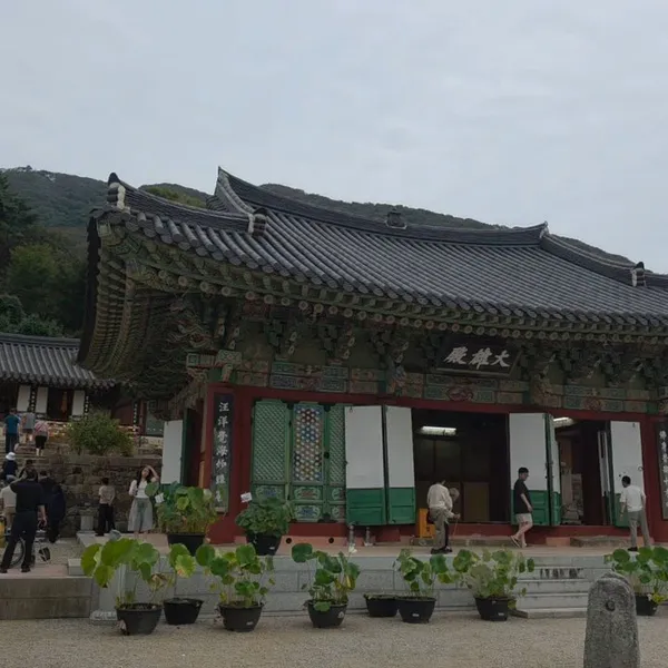 불갑사 사진 4