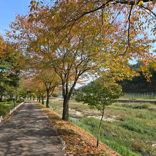 달기약수탕 사진 3