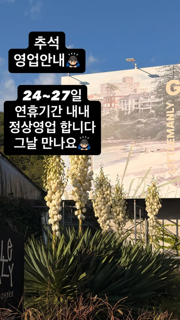 리틀맨리 사진 5