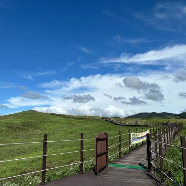 서산한우목장 웰빙산책로, photo 3