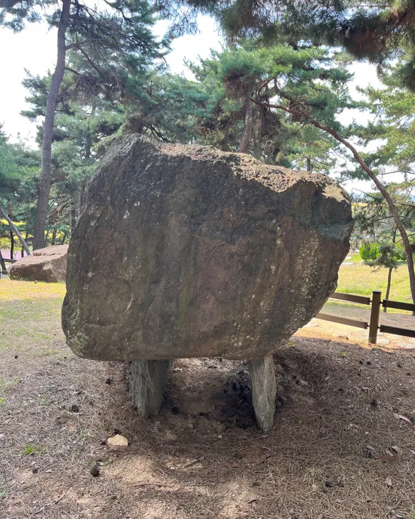고창 세계유산 고인돌 박물관 사진 5