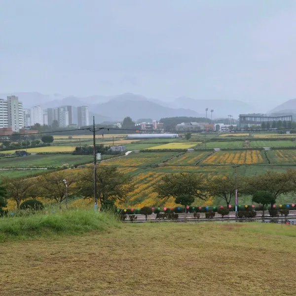 고성송학동고분군