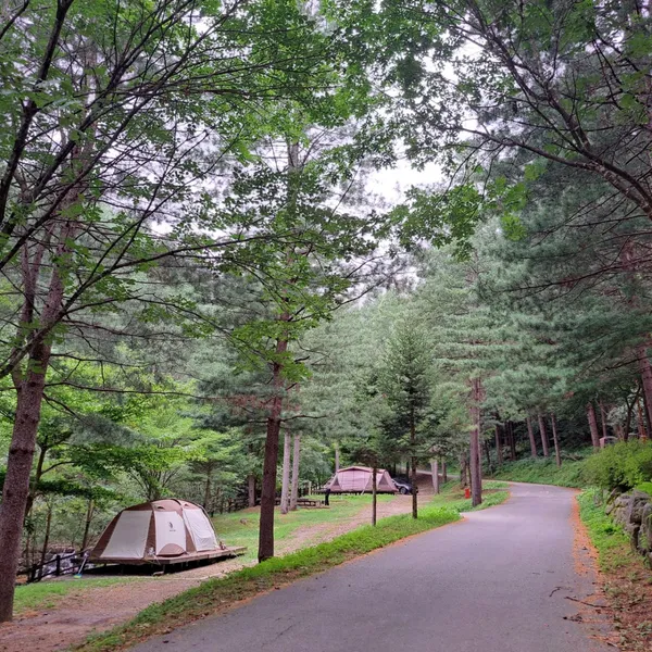 국립청옥산자연휴양림
