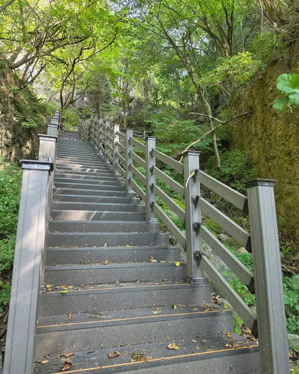 청량산 사진 5