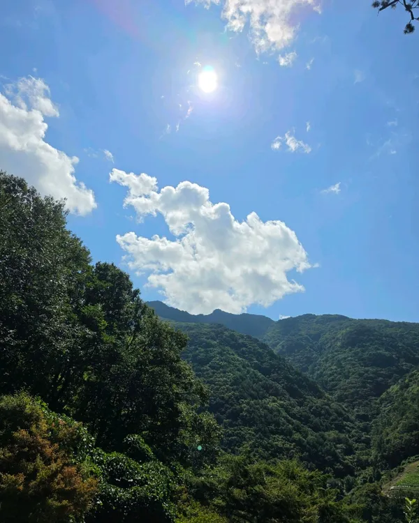 청량산 사진 3