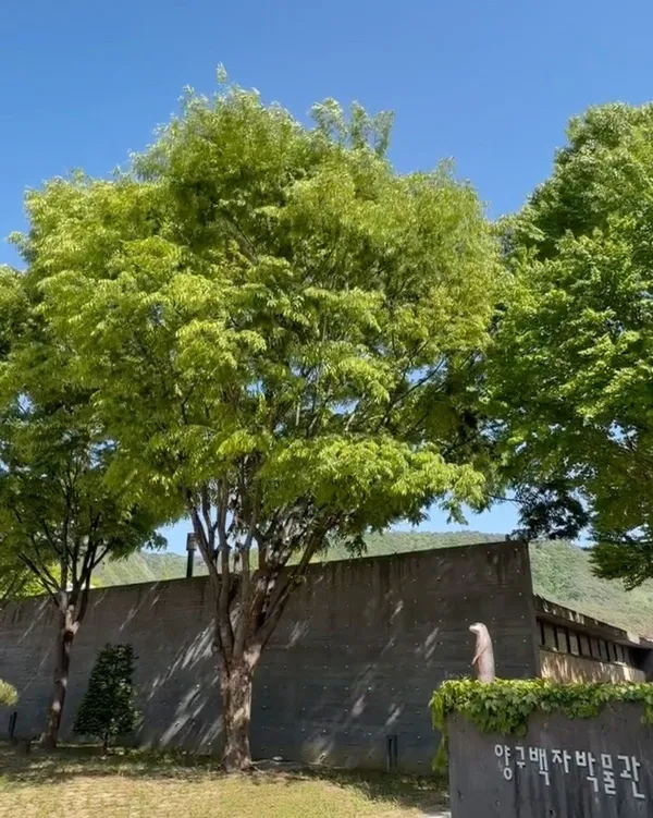 양구백자박물관, photo 3
