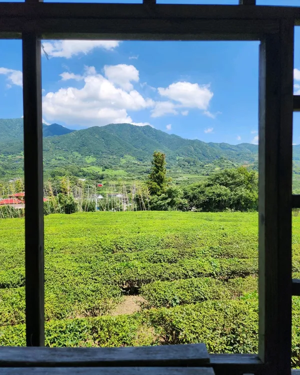 Maeam Tea Museum, photo 3