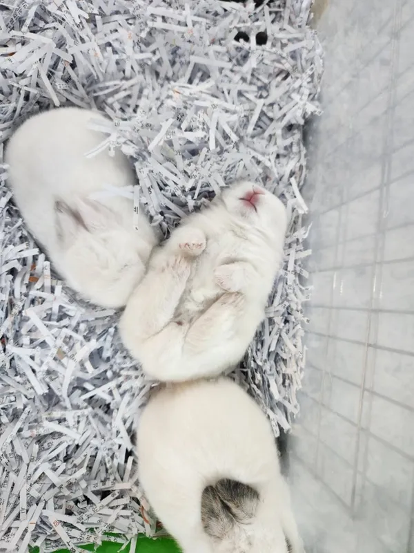 다솜생태관 사진 2