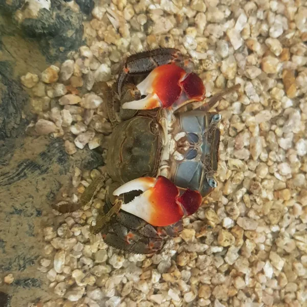 다솜생태관 사진 3