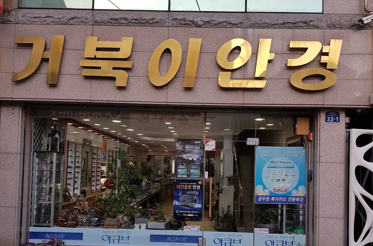 거북이안경 대표 사진