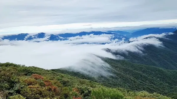 노고단