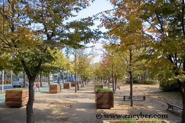 부평공원 사진 5