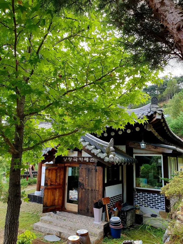 양탕국카페관 사진 3