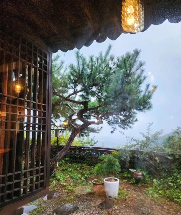 양탕국카페관 사진 2