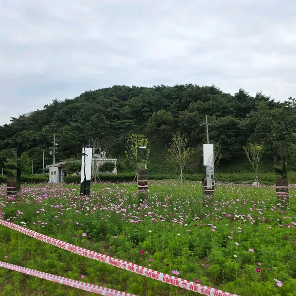 화순고인돌유적 사진 5