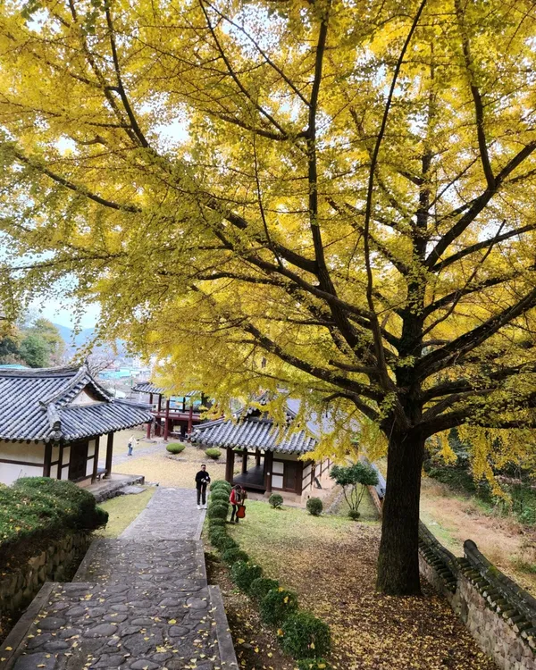 Haman Hyanggyo, photo 2