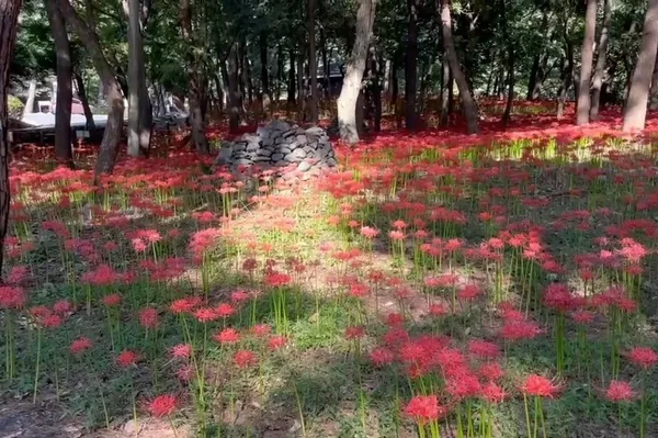 성주산자연휴양림