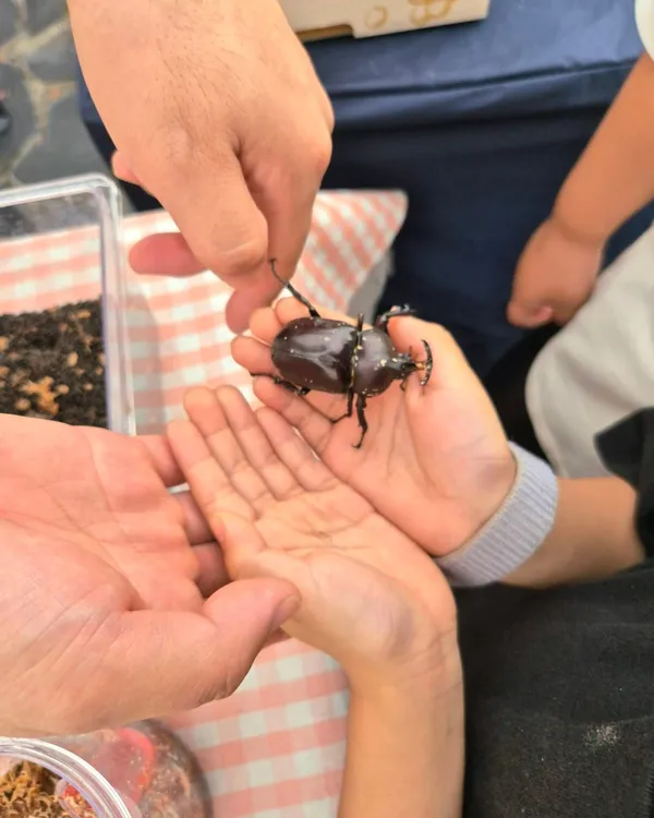 벅스누리팜 사진 3