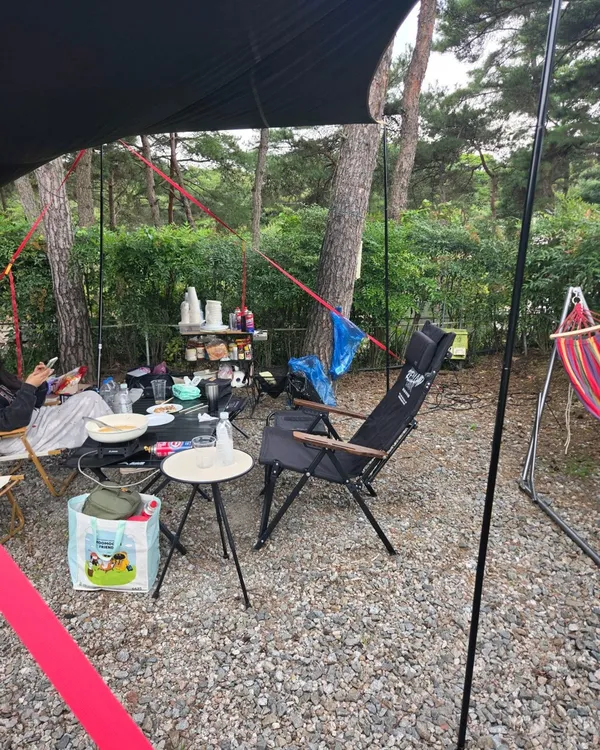 숲속의베리팜 사진 4