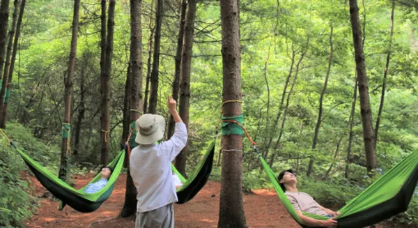 국립산림치유원 사진 2