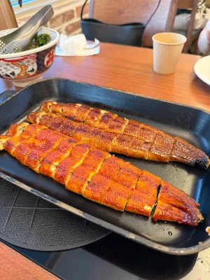 삼수장어