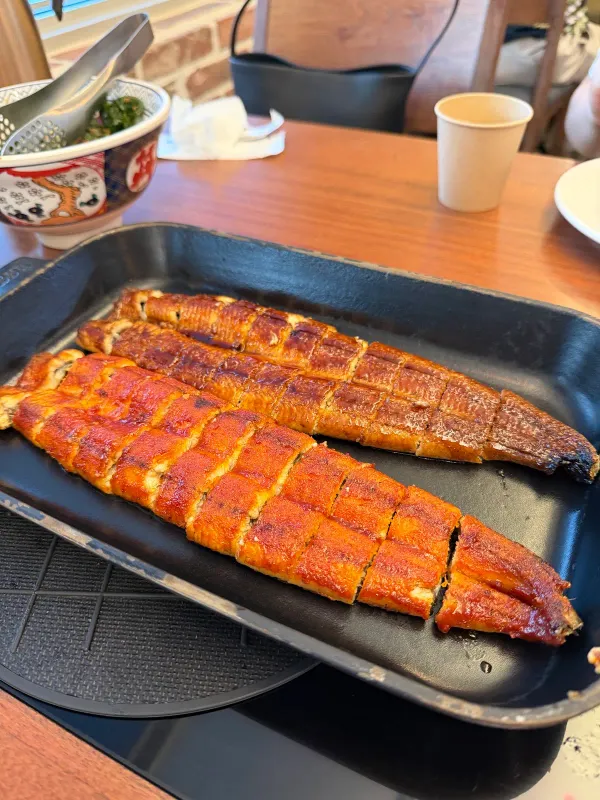 삼수장어