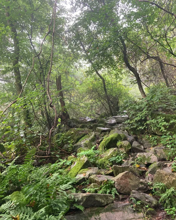금수산 사진 4
