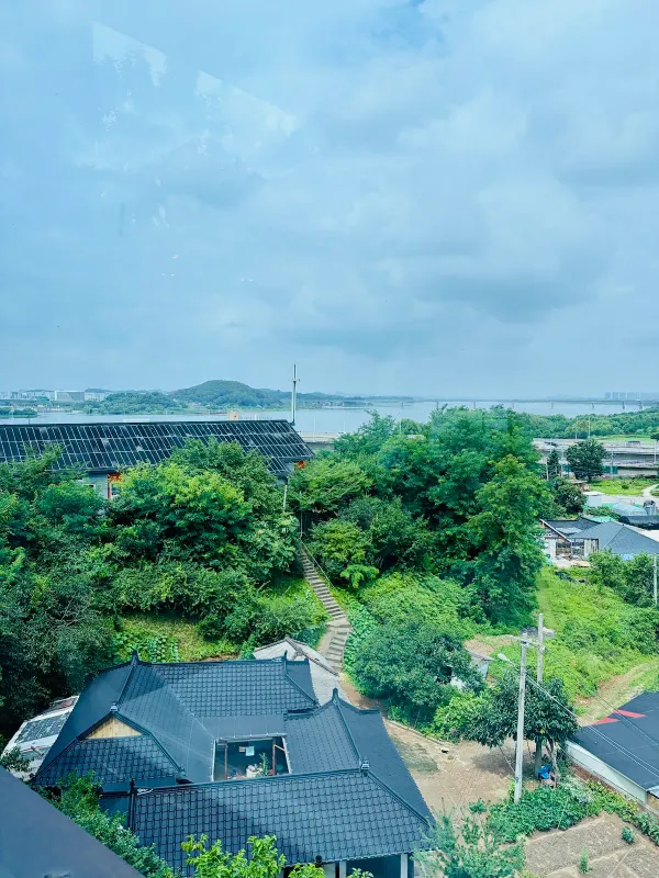 리오리코 사진 5