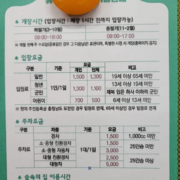 안면도자연휴양림 사진 5