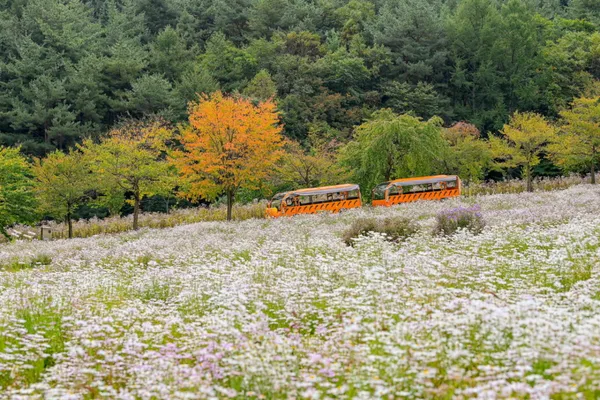 국립백두대간수목원 사진 2