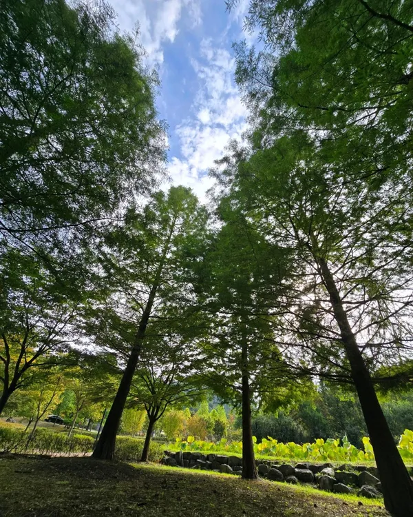 성불산자연휴양림 사진 4