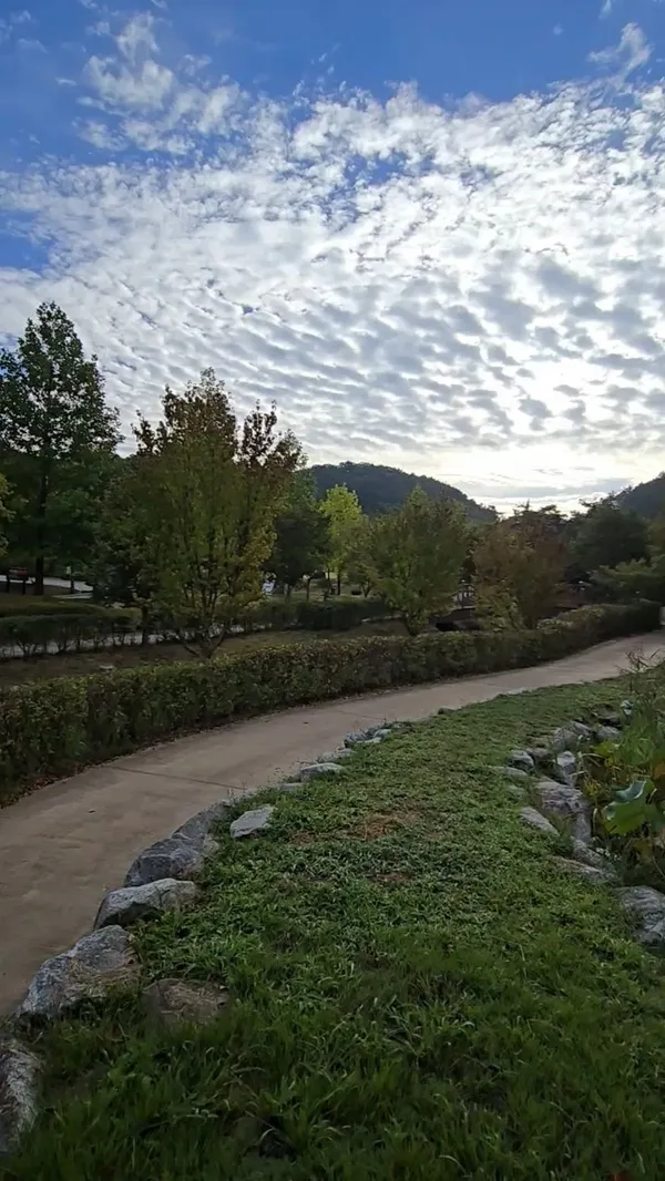 성불산자연휴양림 사진 5