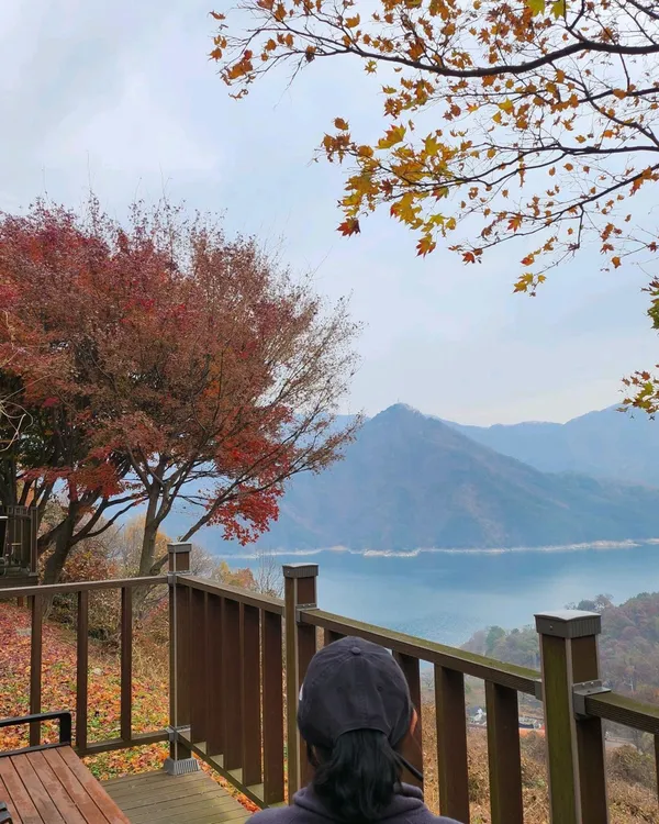 계명산자연휴양림, photo 3
