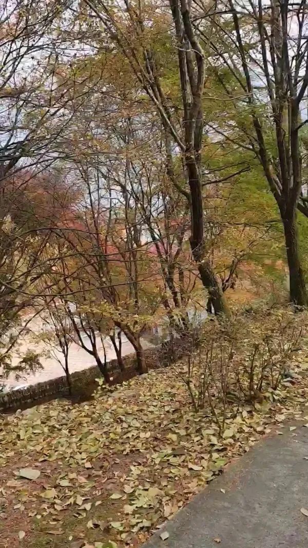 계명산자연휴양림, photo 4