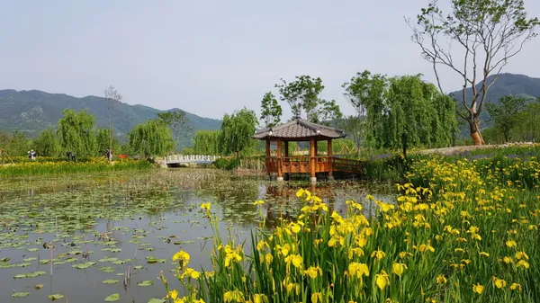 거창창포원 사진 2