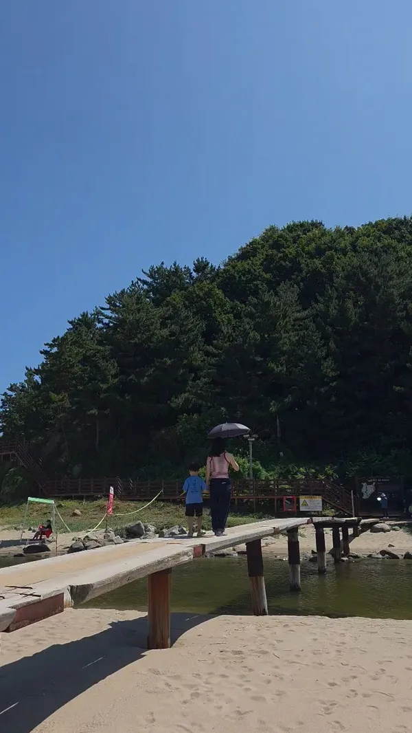 덕봉산해안생태탐방로 사진 5
