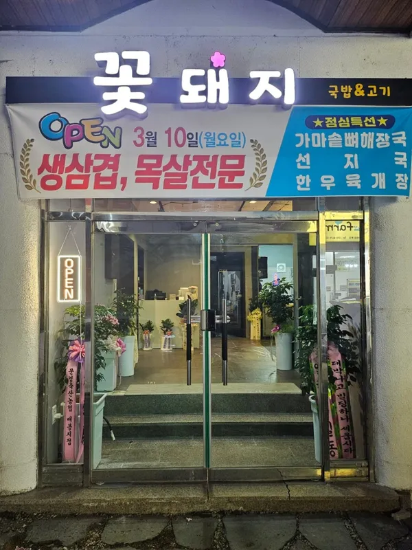 꽃돼지 사진 2