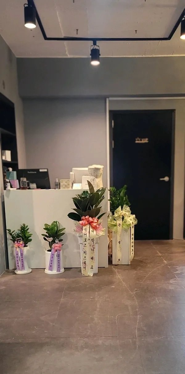 꽃돼지 사진 3