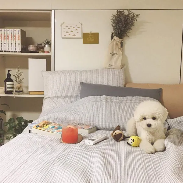 보령석탄박물관 사진 5