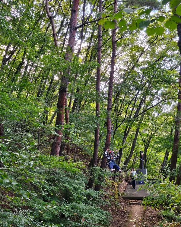 용화산자연휴양림 사진 2