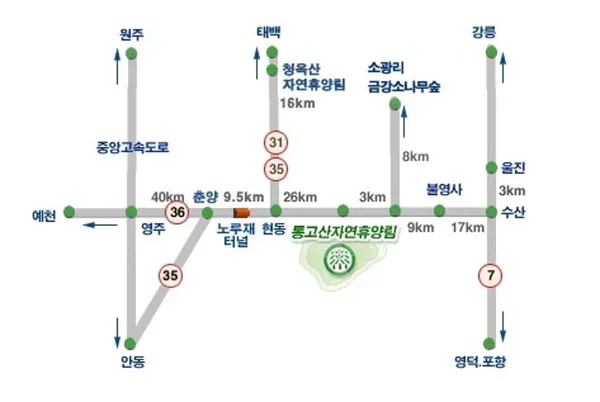 통고산자연휴양림 사진 3